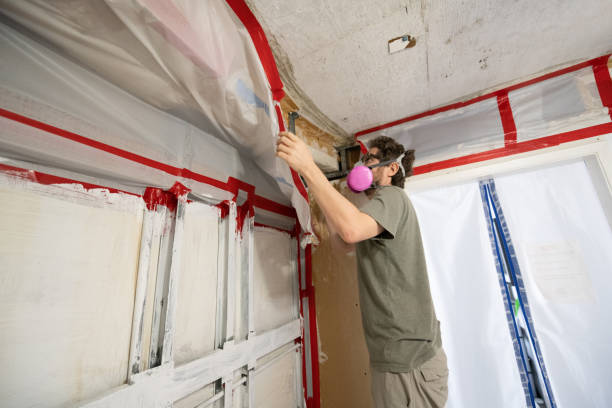 Best Mold Removal for HVAC Installations  in Clemson, SC