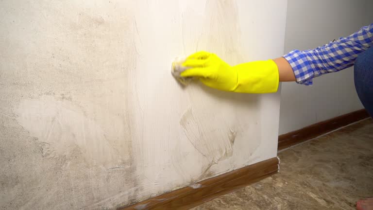 Best Dehumidification Services  in Clemson, SC