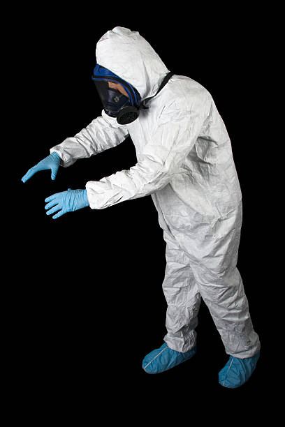 Best Asbestos and Lead Testing During Mold Inspection  in Clemson, SC